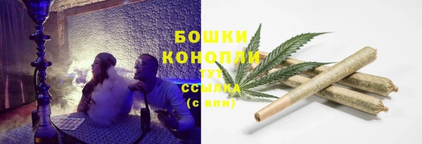 PSILOCYBIN Каменск-Шахтинский