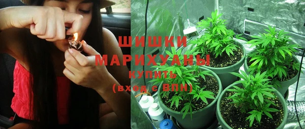 PSILOCYBIN Каменск-Шахтинский
